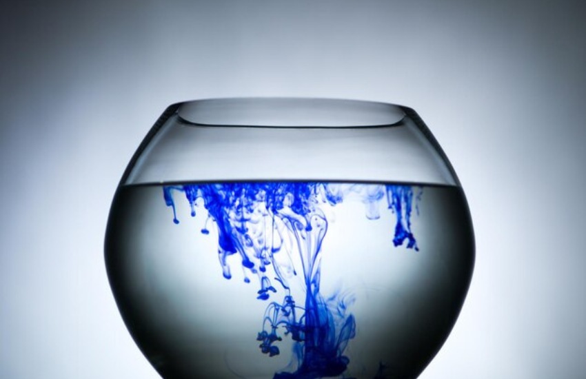 ravellow fish bowl blue
